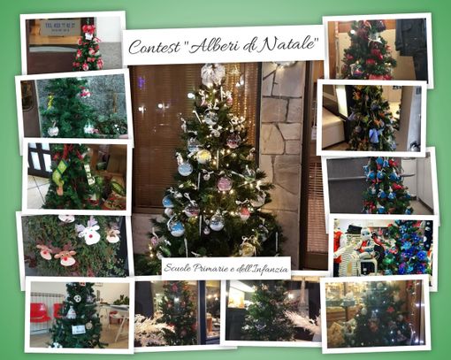Trecate: domenica 19 gennaio la premiazione del contest “Alberi di Natale”. Trecate: domenica 19 gennaio la premiazione del contest “Alberi di Natale”.
