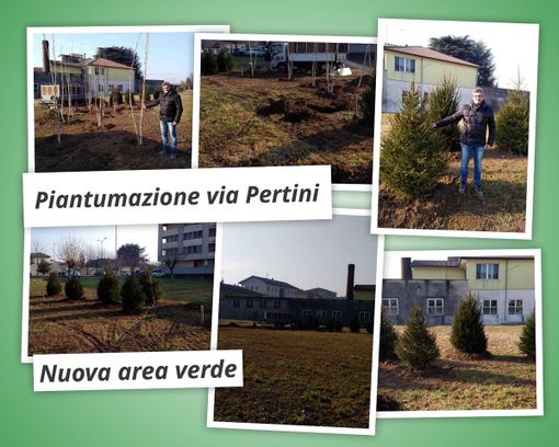 In via Pertini a Trecate una nuova area verde In via Pertini a Trecate una nuova area verde