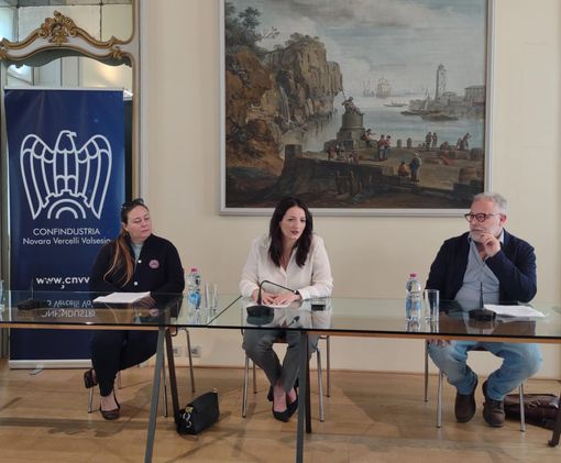 Il Career Day al Castello di Novara Il Career Day al Castello di Novara