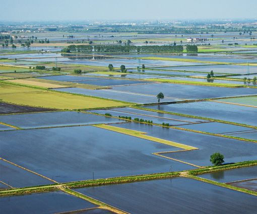 Foto Paolo Migliavacca e Federico Barra Foto Paolo Migliavacca e Federico Barra