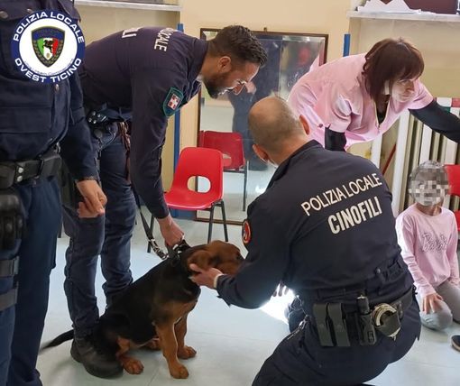 Laboratori sulla sicurezza stradale con la polizia locale per i bambini della scuola dell’infanzia “Garzoli” Laboratori sulla sicurezza stradale con la polizia locale per i bambini della scuola dell’infanzia “Garzoli”