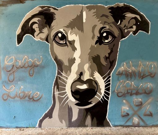 A Novara i “muri legali” diventano arte urbana A Novara i “muri legali” diventano arte urbana