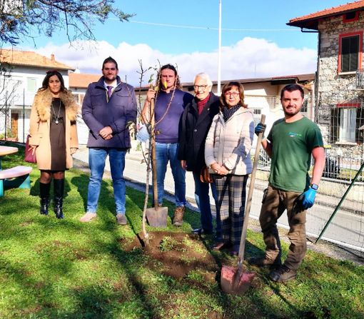 Lions dona alberi da frutta alla scuola materna di Oltrefiume