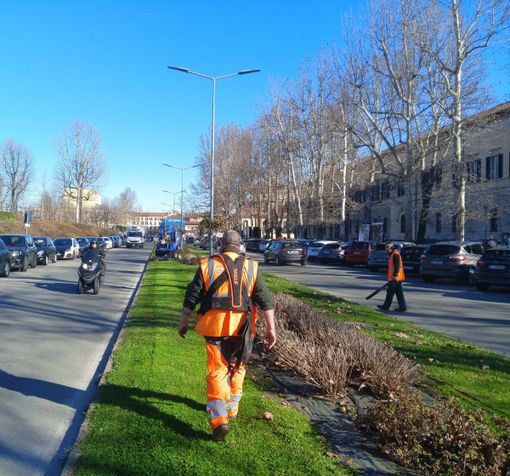 Interventi di manutenzione e taglio del verde pubblico Interventi di manutenzione e taglio del verde pubblico