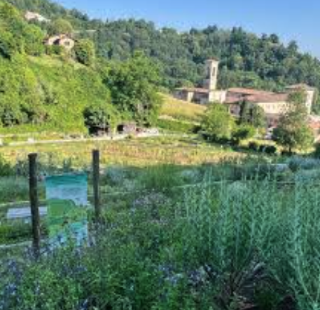 All’orto botanico di Galliate il nuovo appuntamento de “La bellezza di ciò che manca” All’orto botanico di Galliate il nuovo appuntamento de “La bellezza di ciò che manca”