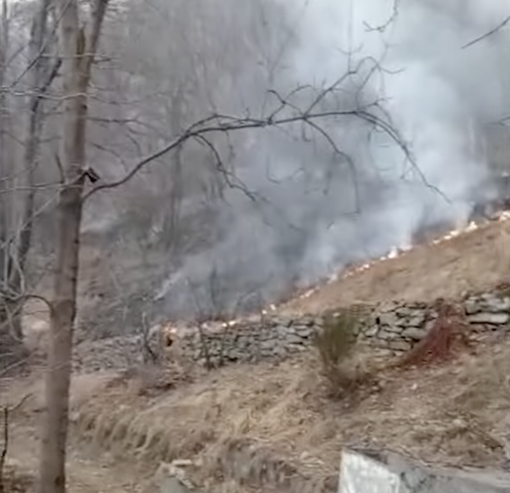 Coldiretti Piemonte: è sos siccità per i boschi