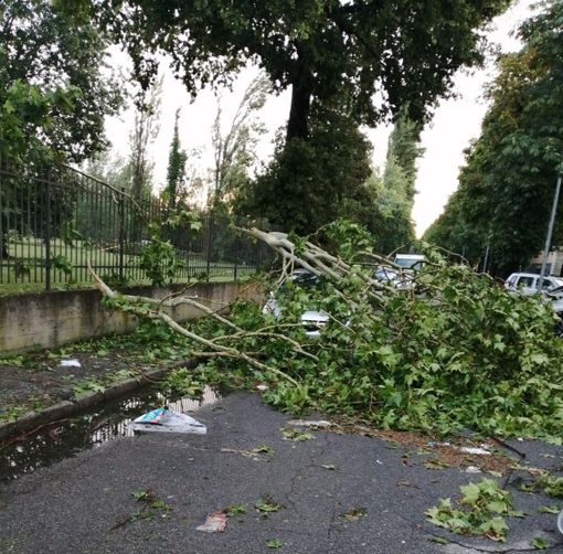 Maltempo, 180.000 euro per diversi interventi di ripristino di beni comunali Maltempo, 180.000 euro per diversi interventi di ripristino di beni comunali