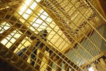 Guinea Bissau, arrestata un'attivista italiana: è in carcere da 5 giorni