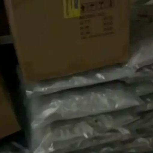 Torino, maxi sequestro stupefacenti. Oltre 110 kg di marijuana e hashish