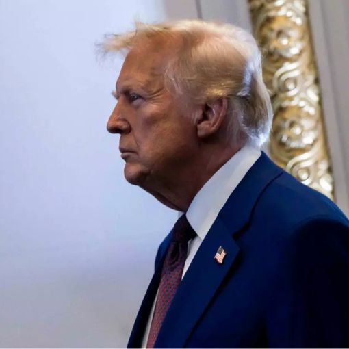 Trump “Sono molto deluso da Musk”