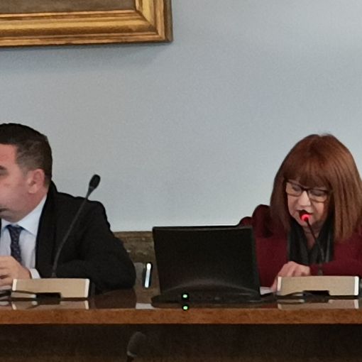 Prima uscita  nel consiglio comunale di Novara per la segretaria generale Pierluisa Vimercati