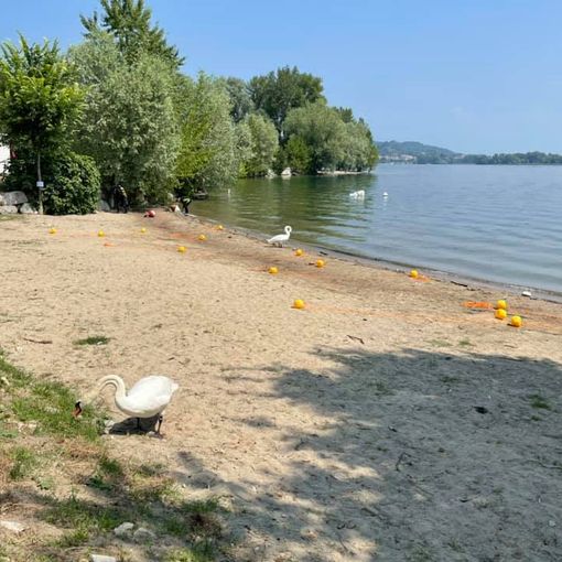 Domani apre la spiaggia del Sorriso di Arona