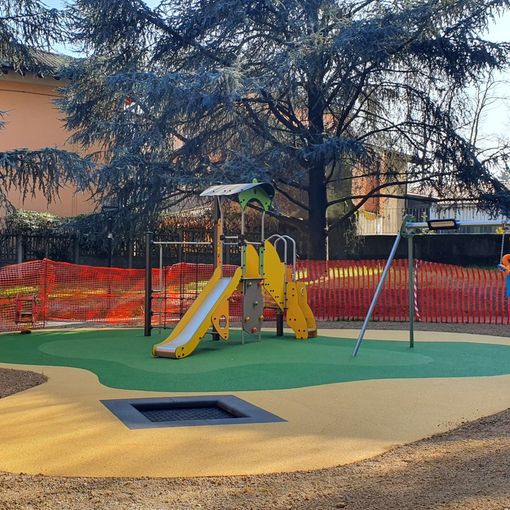 Bellinzago, saranno abbattuti 4 alberi di Parco Alpini
