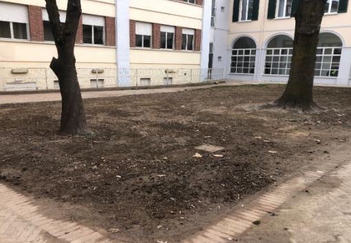 Un nuovo giardino per l'apprendimento e il divertimento: riqualificazione del cortile della scuola elementare di via Manzoni a Cameri