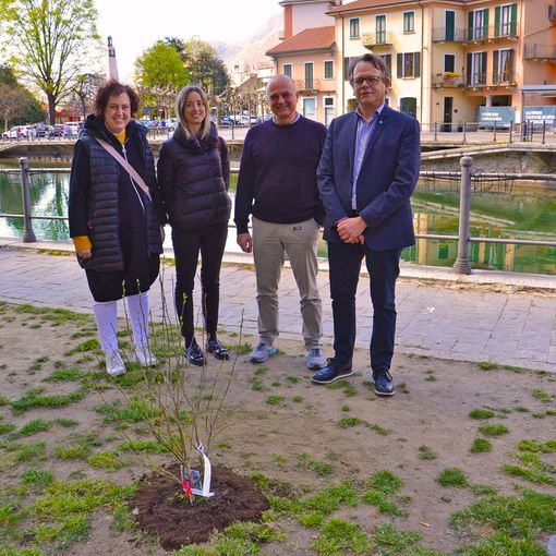 Borgomanero: piantumato un ibiscus come simbolo del legame tra i giovani italiani e quelli del Benin