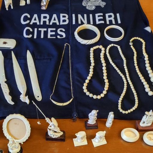 Borgomanero: i carabinieri sequestrano 29 oggetti in avorio, quattro denunce