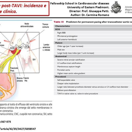 Meeting di Cardiologia all'Upo: focus sulla gestione dei disturbi della conduzione post-Tavi