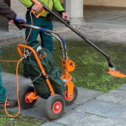 Assa continua il diserbo delle strade