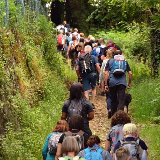 Girolago: Un'escursione autunnale tra natura, cultura e tradizioni