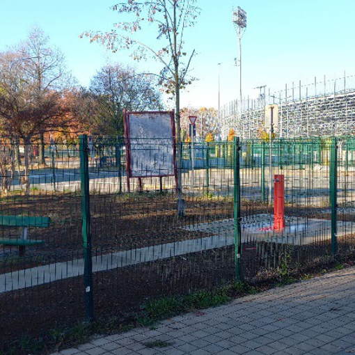 La Novara a quattro zampe: oltre 11.000 cani nel cuore della città