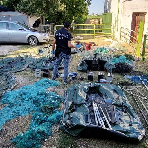 Razzia di pesci catturati con l’elettricità: blitz dei forestali in 3 regioni