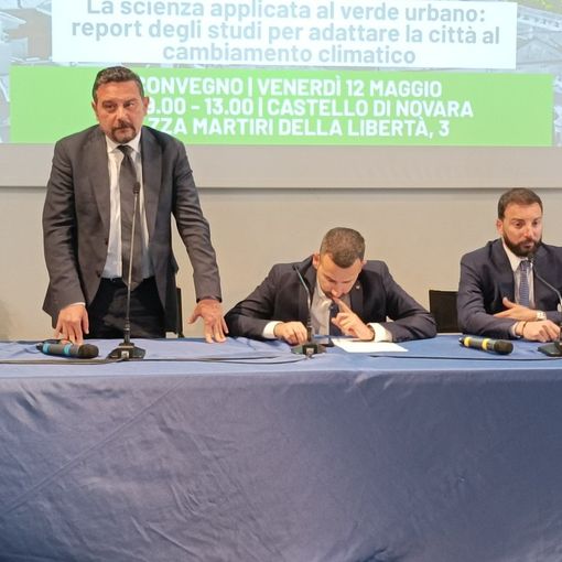 Canelli: “Più alberi contro inquinamento e per il decoro”