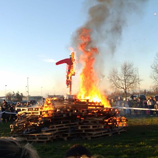 Concluso il carnevale trecatese. FOTO