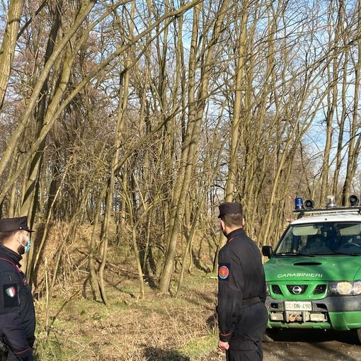 Trappola illegale per i lupi, multato allevatore nel novarese