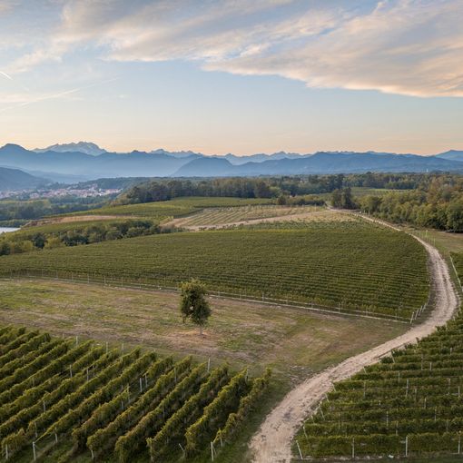 Al via l’itinerario “Monteregio in Tour – Colline Novaresi”