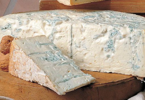 Il Consorzio Gorgonzola aderisce al fondo di solidarietà per i pastori Sardi