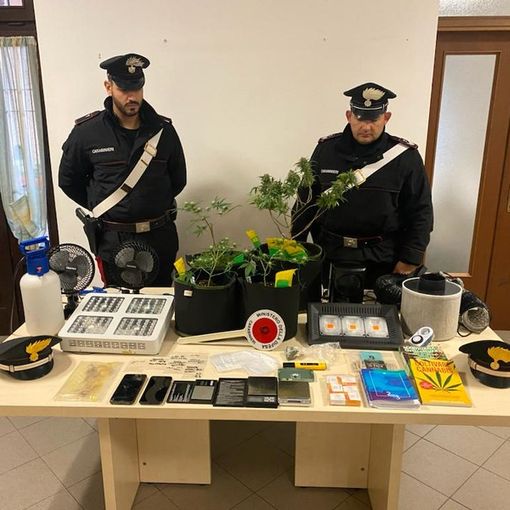 In casa una serra di marijuana: in arresto un 22enne