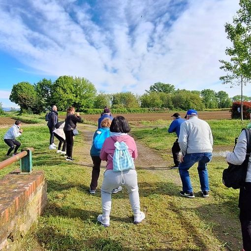 Fit4Walking: passi per la salute