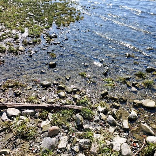 Sempre più preoccupante la crisi idrica del Lago Maggiore: raggiunto il livello di &quot;siccità severa&quot;