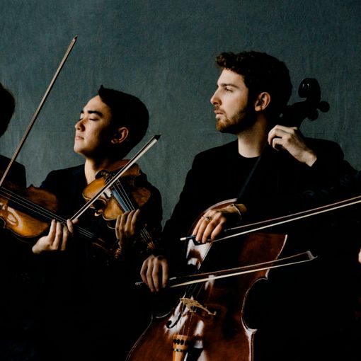 Giovedì 29 ad Arona concerto del quartetto d'archi Marmen