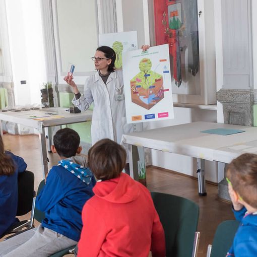 Il mondo sotto i nostri piedi: esplorando la mostra-laboratorio a Villa Marazza