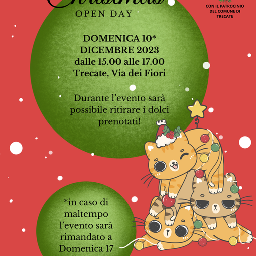 Domenica “Chistmas Open Day” all’Oasi Felina Trecate