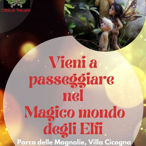 Domenica a Trecate si potrà passeggiare nel magico mondo degli Elfi
