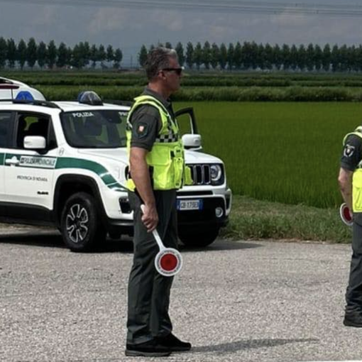 Mancate revisioni dei veicoli e assicurazioni: numerose le sanzioni della polizia provinciale