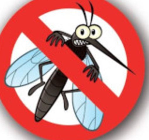 Anche a Trecate entra nel vivo la lotta alle zanzare