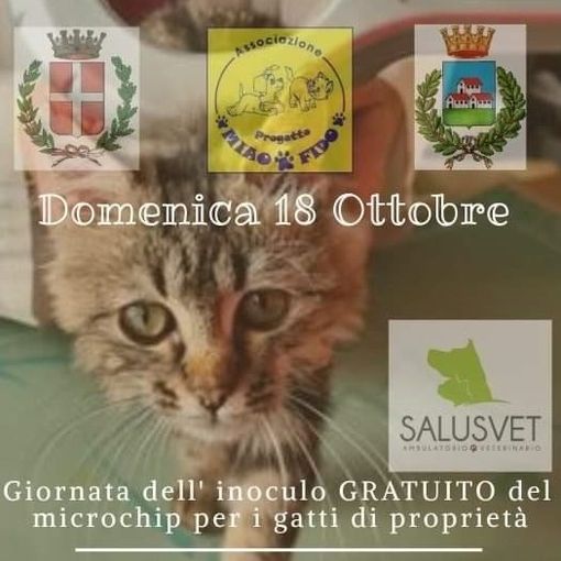 Domenica Microchip gratuiti per i gatti di Trecate
