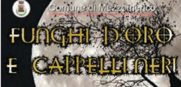&quot;Funghi d'Oro e Cappelli Neri&quot;: alla scoperta dell'antica leggenda custodita nei boschi a Mezzomerico