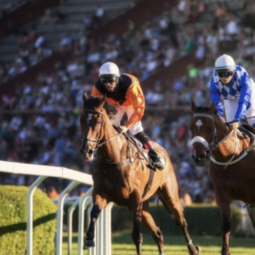 Quali sono i tipi di scommesse sulle corse di cavalli?