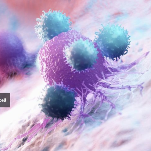 Torna a Novara il workshop internazionale “No Cancer”