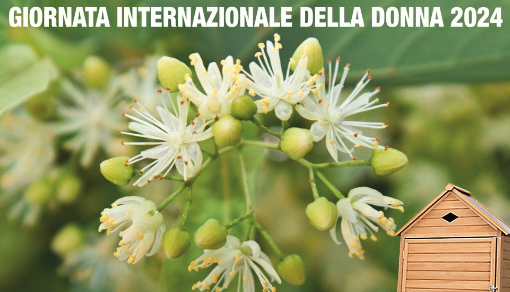 Si celebra l'8 marzo ogni giorno