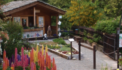 &quot;Orti Botanici, eccellenze Italiane&quot;: alla scoperta di un patrimonio naturalistico