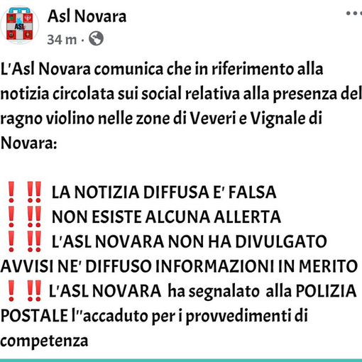 Falsa allerta sulla presenza di Ragni Violino crea paura a Novara: l'Asl smentisce
