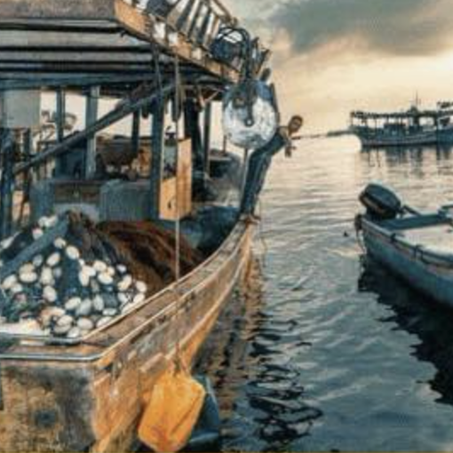 &quot;C'era una volta Gaza&quot;: la Mostra Fotografica di Paolo Trainito al Liceo Artistico Casorati