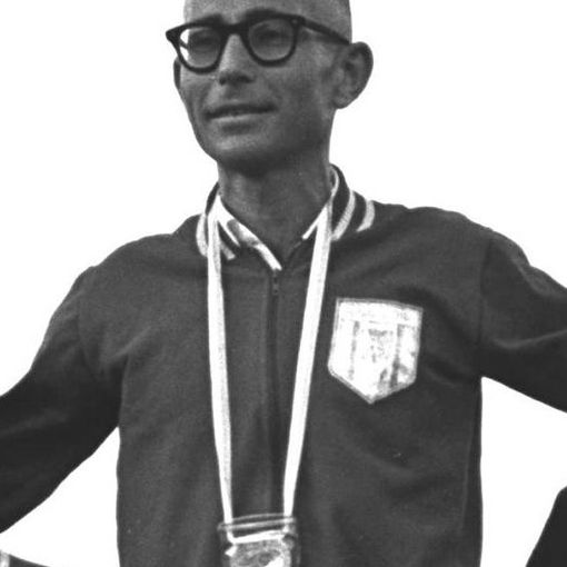 Shaul Ladany