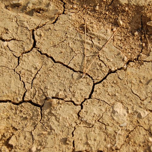 Siccità, vertice tra Provincia e Acqua Novara Vco