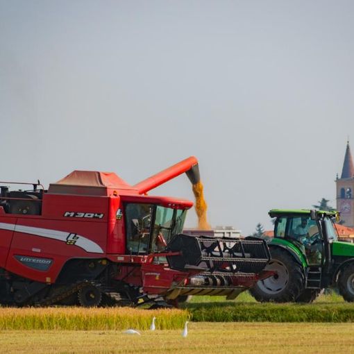Fiera agricola e artigiana, approvato il nuovo regolamento organizzativo